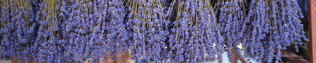 Lavender & Hop Flowers