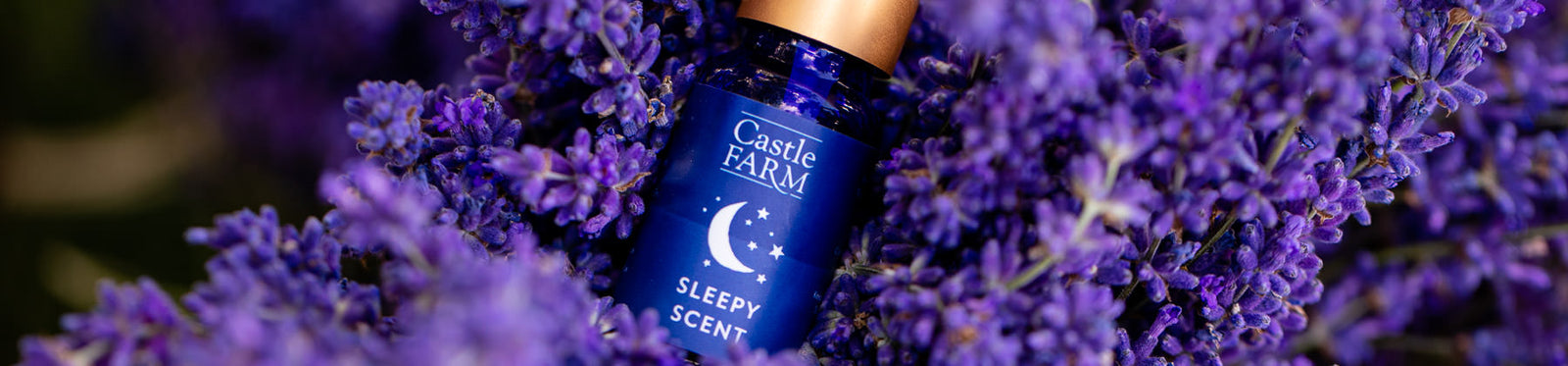 Sleepy Scent