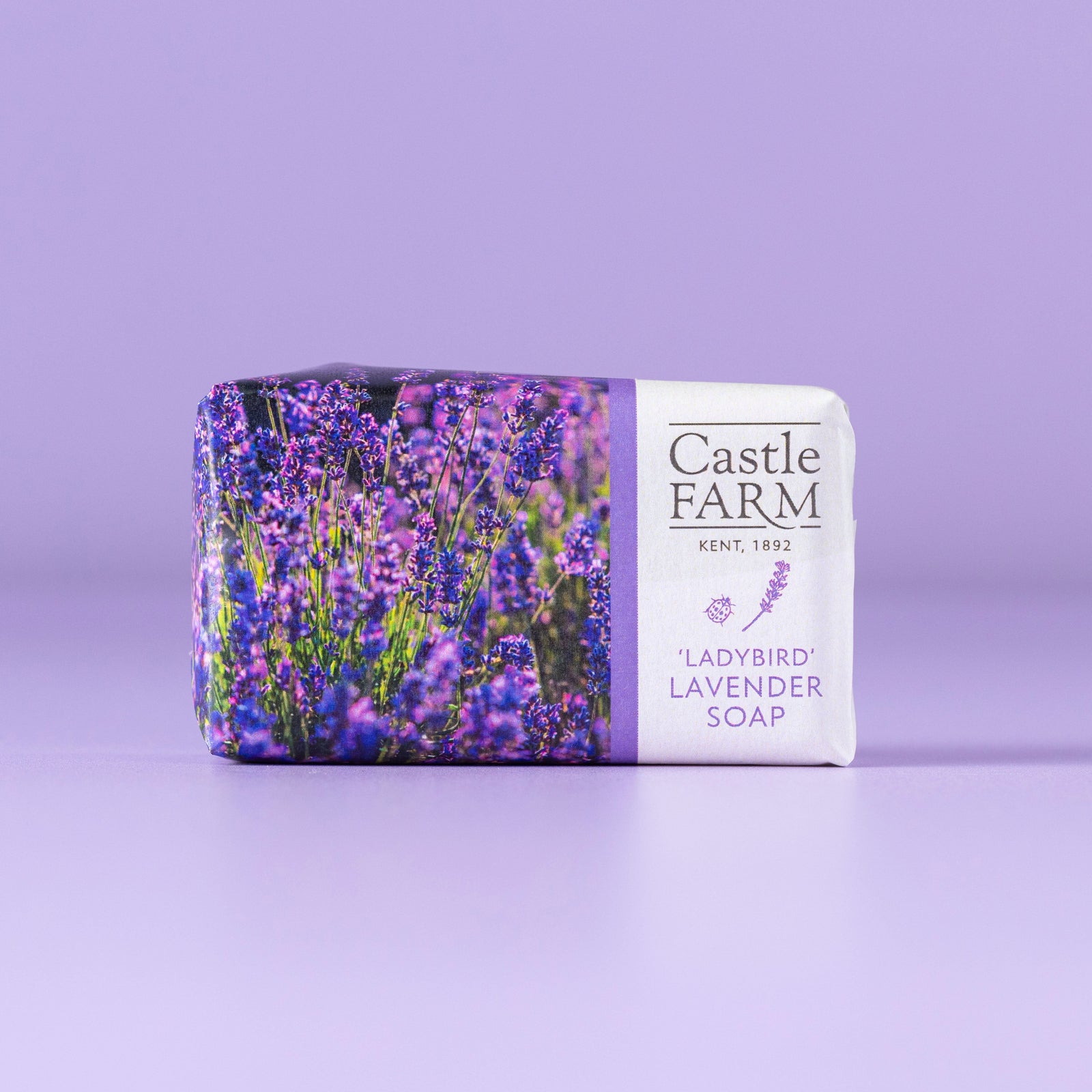 EMBOSSED 'LADYBIRD' SOAP