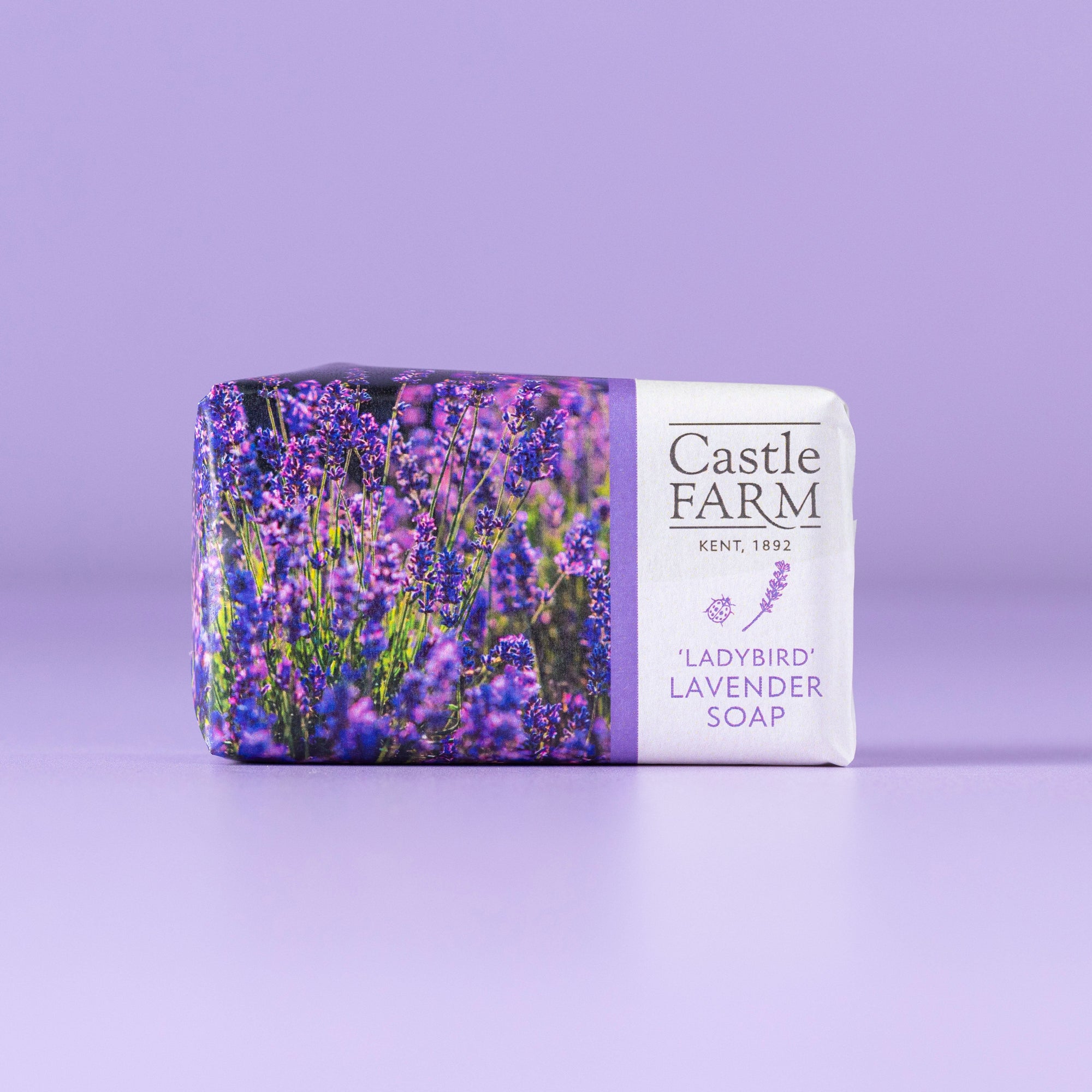 EMBOSSED 'LADYBIRD' SOAP