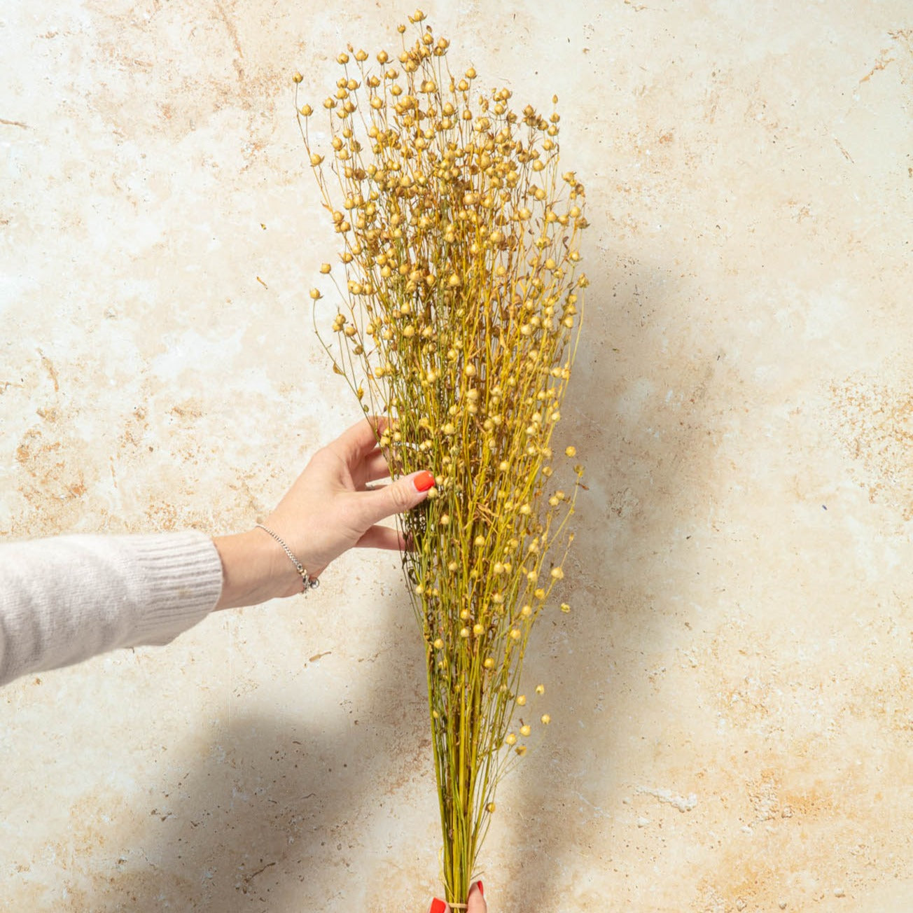 DRIED GOLDEN LINSEED (FLAX)