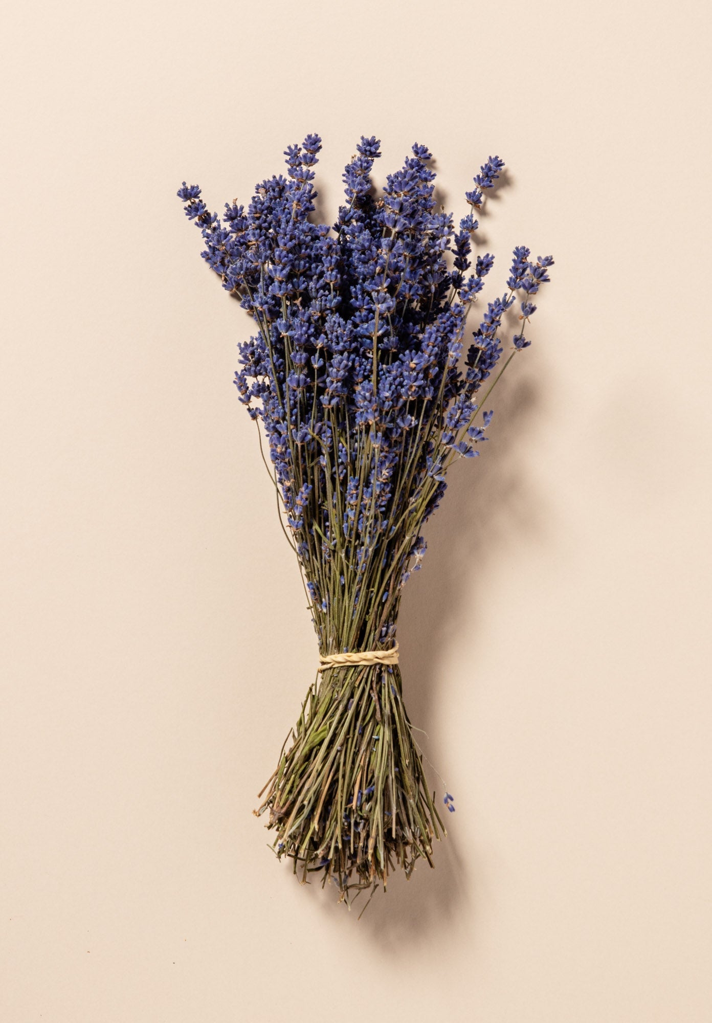 DRIED LAVENDER BUNCH - 2025 NEW SEASON