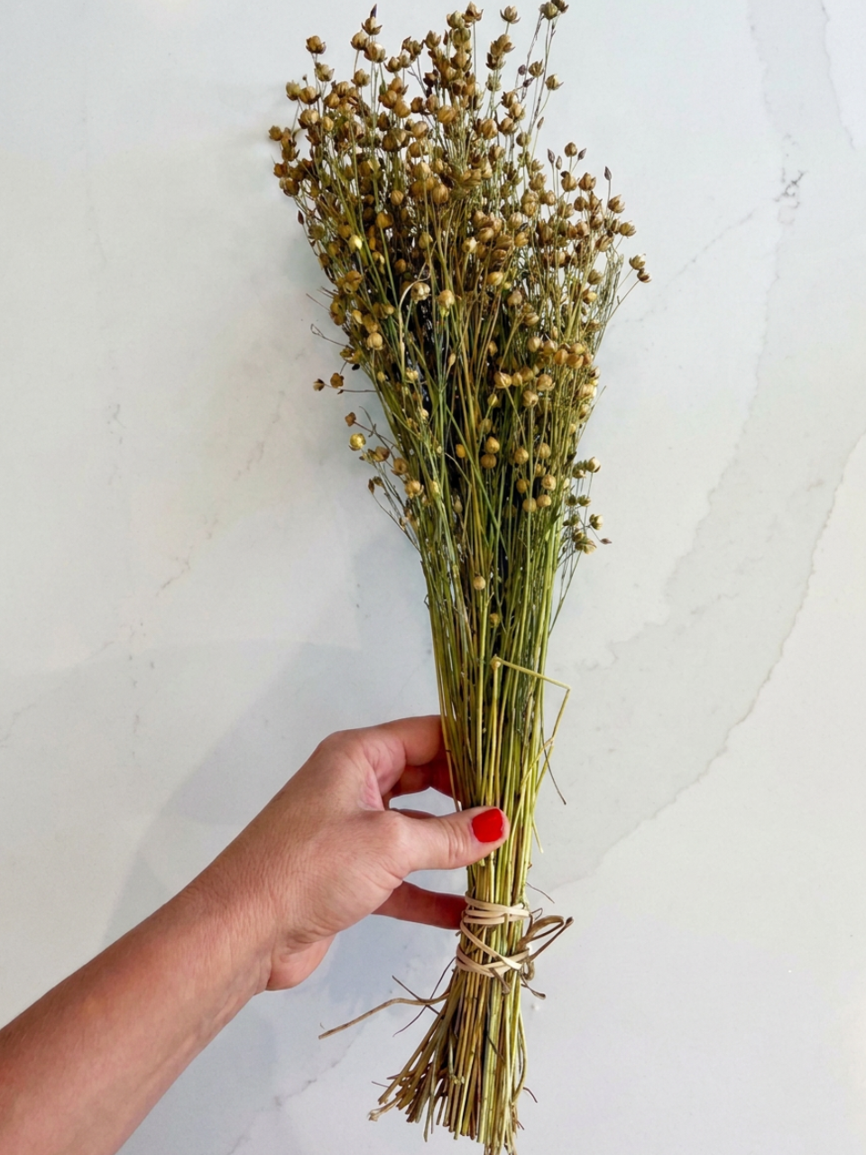 DRIED GOLDEN LINSEED (FLAX)