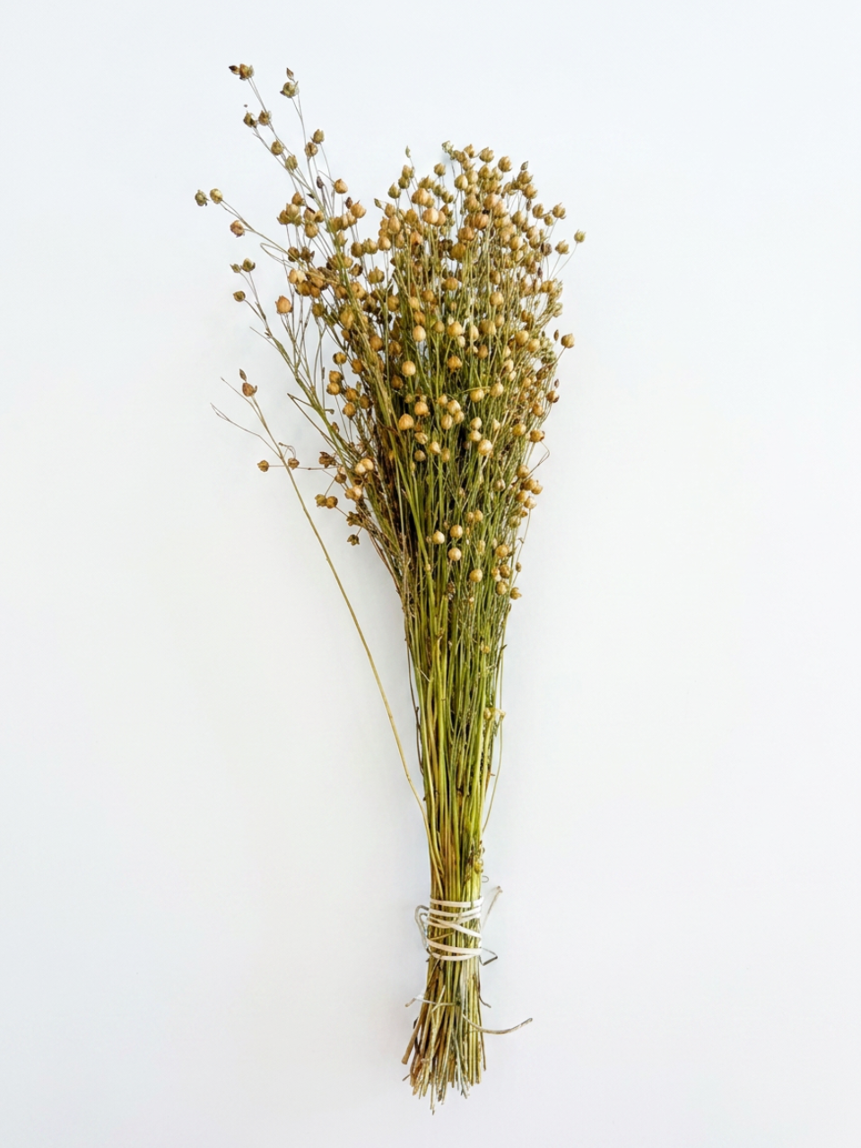 DRIED GOLDEN LINSEED (FLAX)