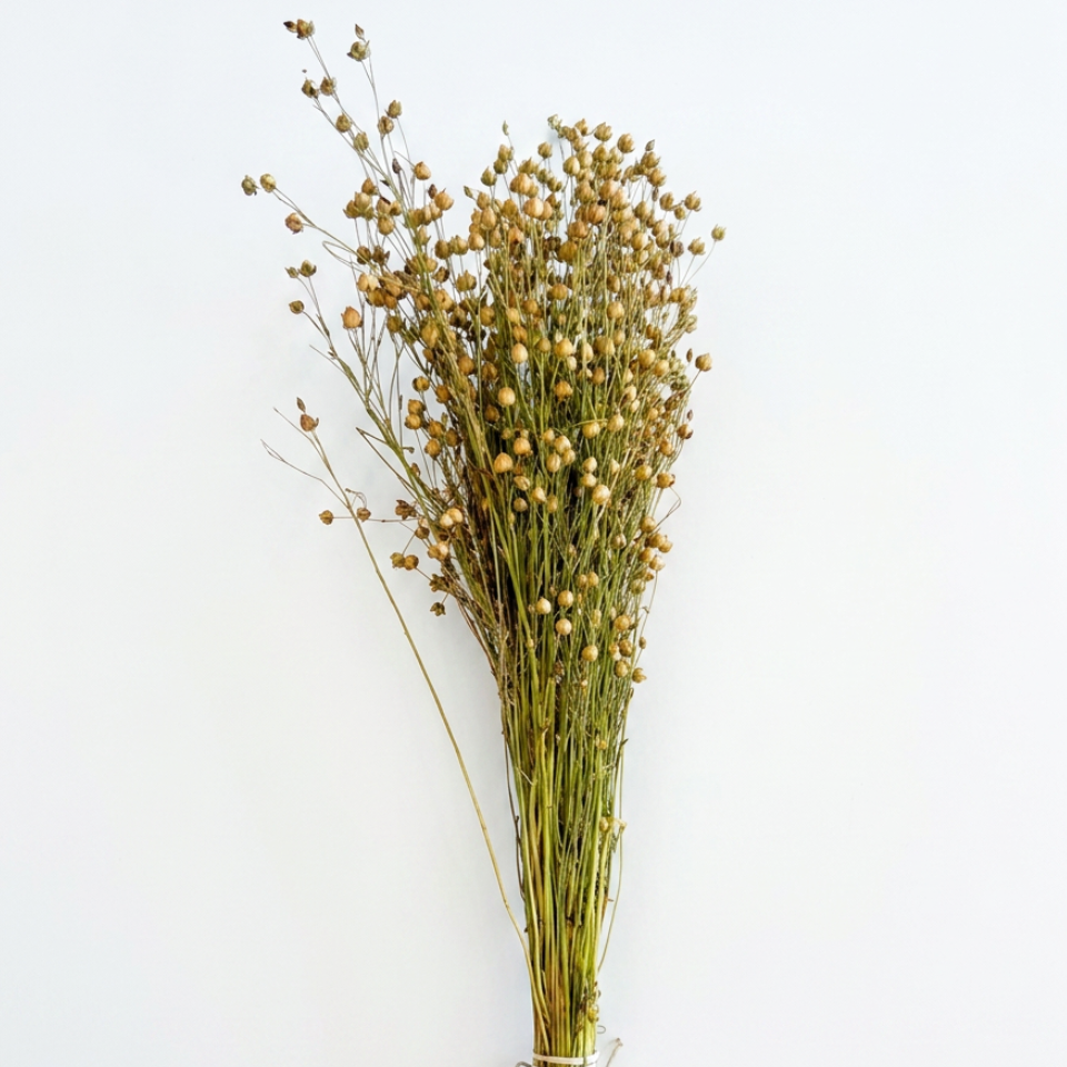 DRIED GOLDEN LINSEED (FLAX)