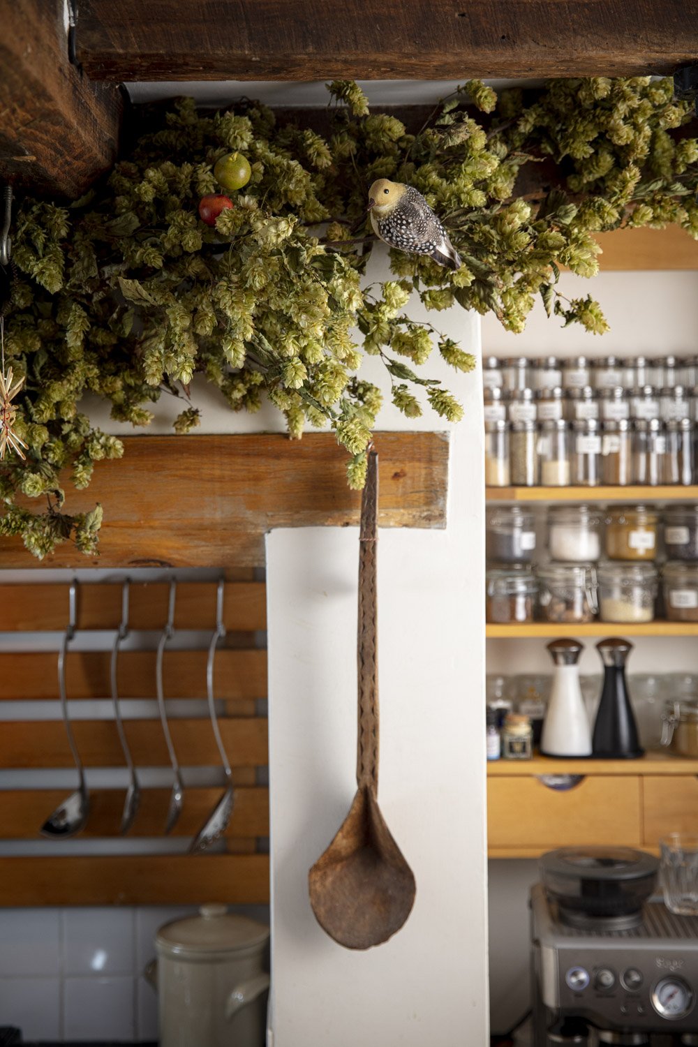 CASTLE FARM DRIED HOP BINE FOR DELIVERY- PRE ORDER