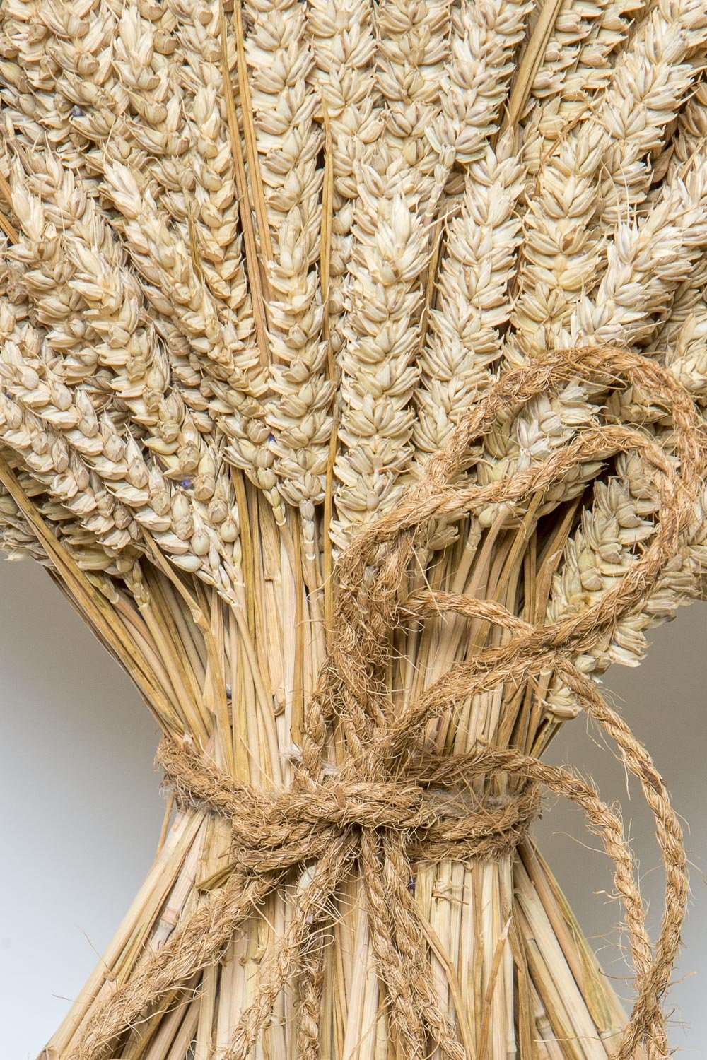WHEAT SHEAF - NATURAL GOLDEN