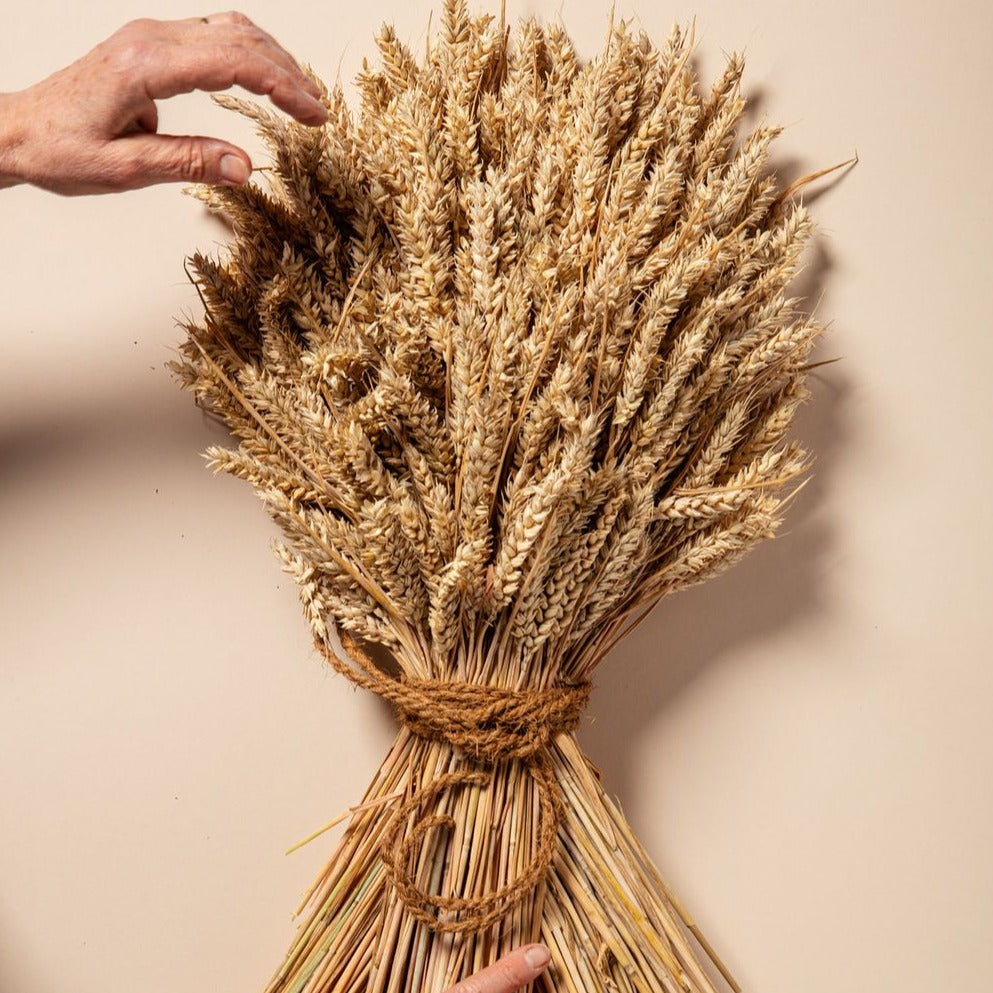 WHEAT SHEAF - NATURAL GOLDEN