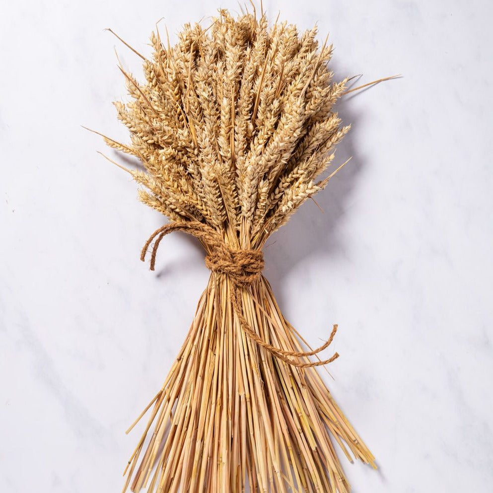 WHEAT SHEAF - NATURAL GOLDEN