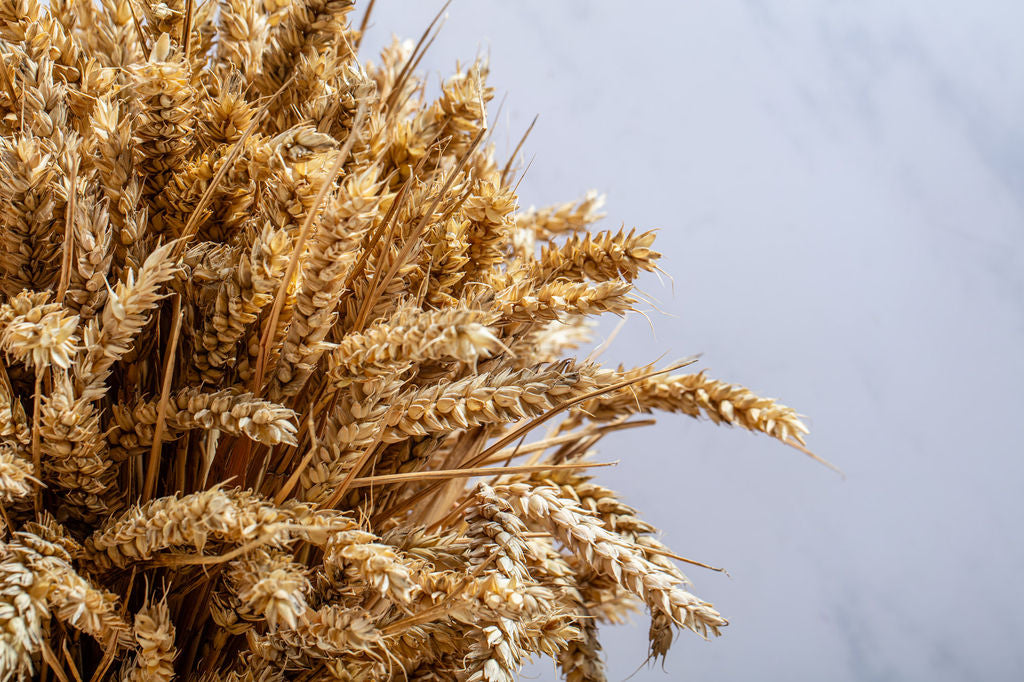 WHEAT STOOK - GOLDEN