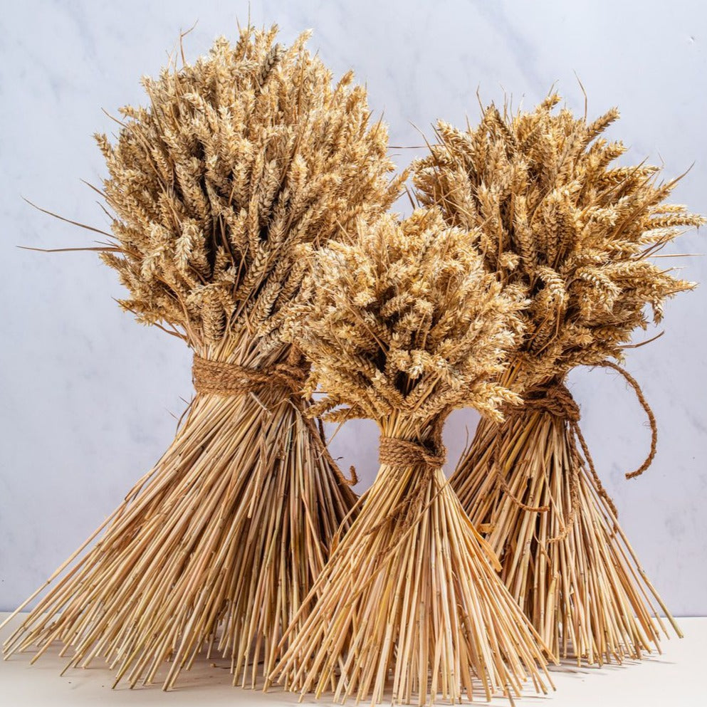 WHEAT STOOK - GOLDEN