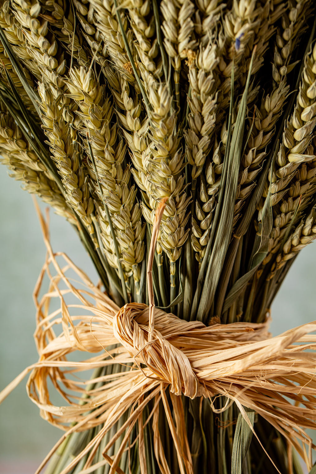 WHEAT SHEAF - NATURAL GREEN