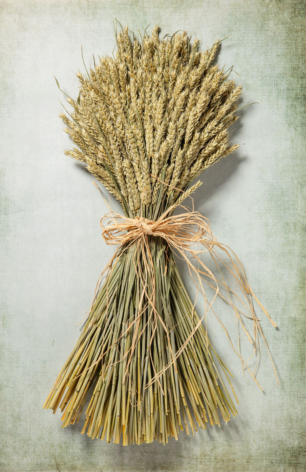 WHEAT SHEAF - NATURAL GREEN