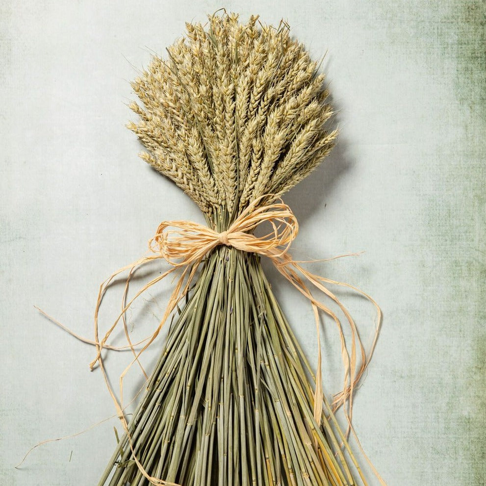 WHEAT SHEAF - NATURAL GREEN