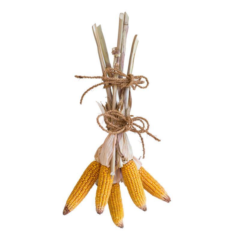 CASTLE FARM DECORATIVE CORN COBS 'MAIZE' SWAG