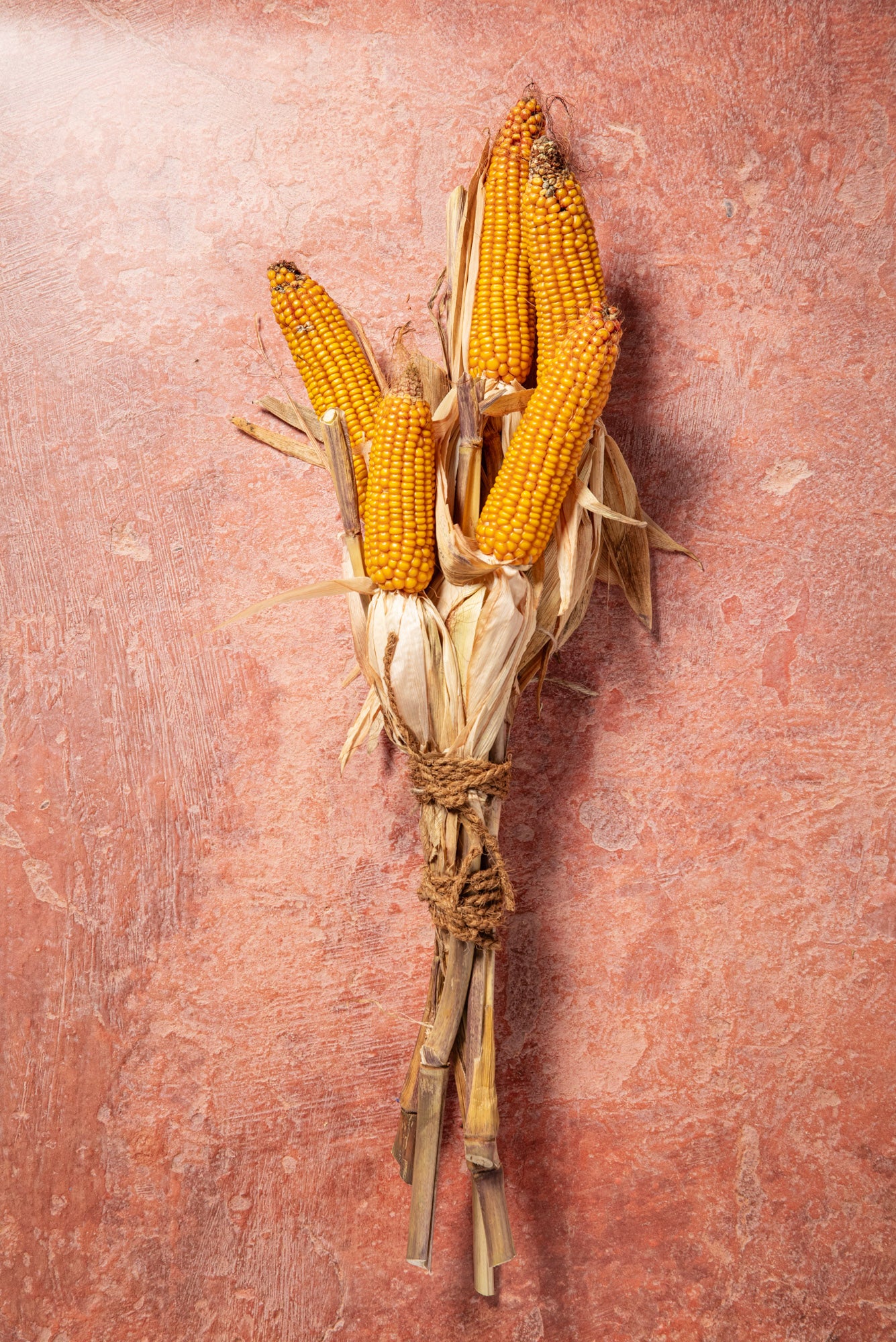 CASTLE FARM DECORATIVE CORN COBS 'MAIZE' SWAG