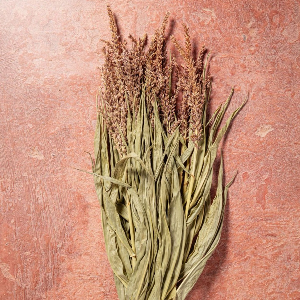 CASTLE FARM MAIZE TOPS