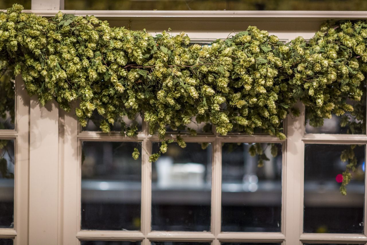 CASTLE FARM DRIED HOP BINE FOR DELIVERY- PRE ORDER