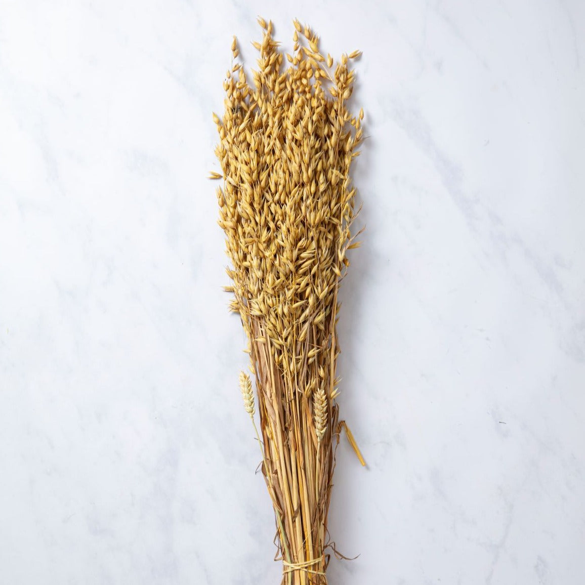 CASTLE FARM GOLDEN OAT BUNCHES