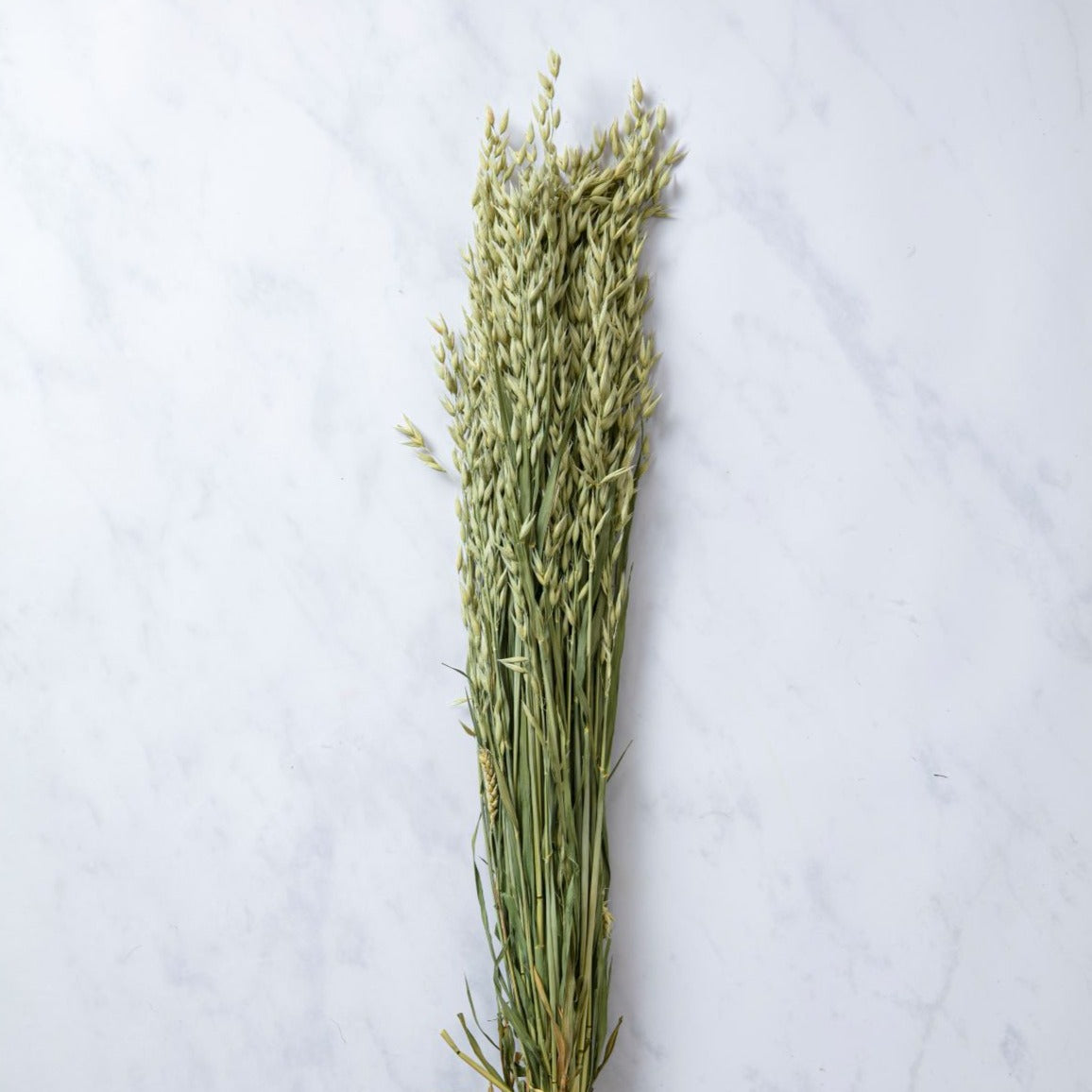 CASTLE FARM GREEN OAT BUNCHES